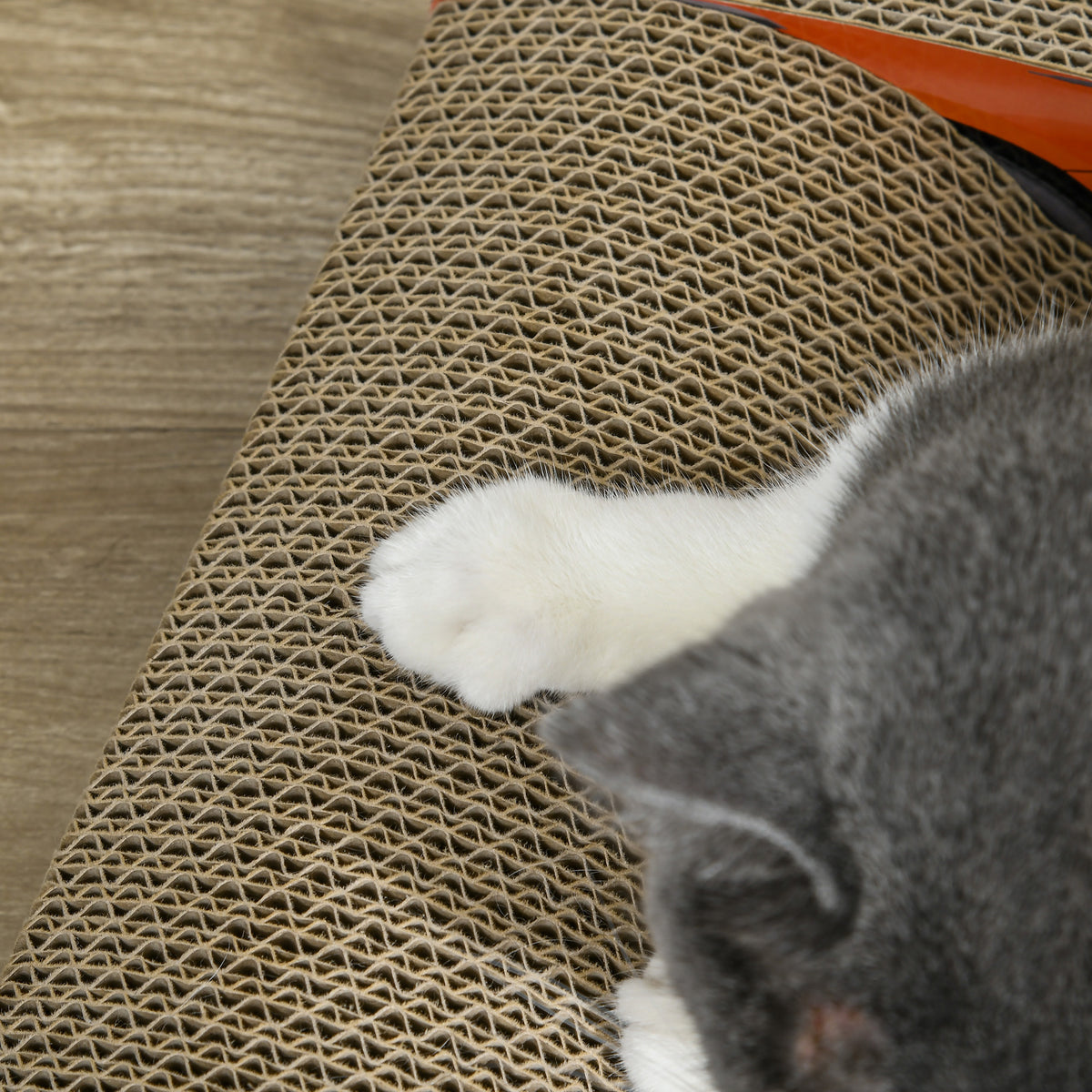 PawHut 2 in 1 Cat Scratching Board with Catnip, Car-shaped PawHut