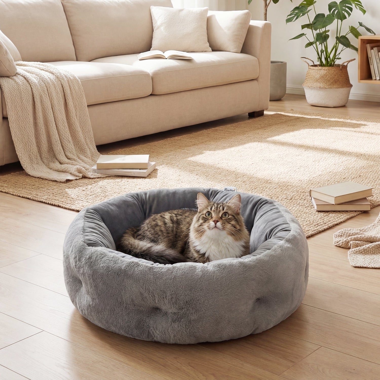Cat Beds