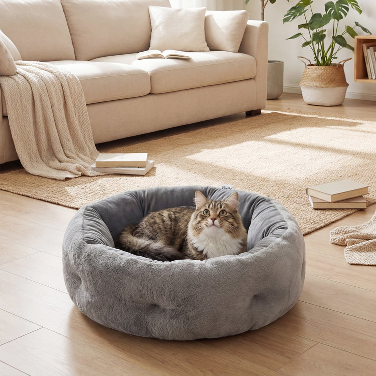 Cat Beds