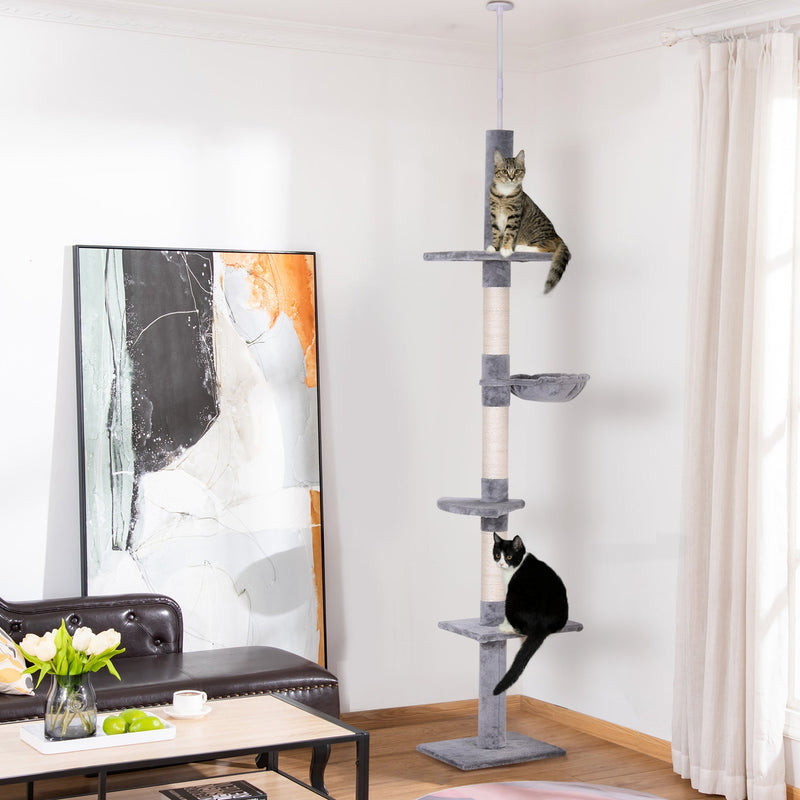 Floor to Ceiling