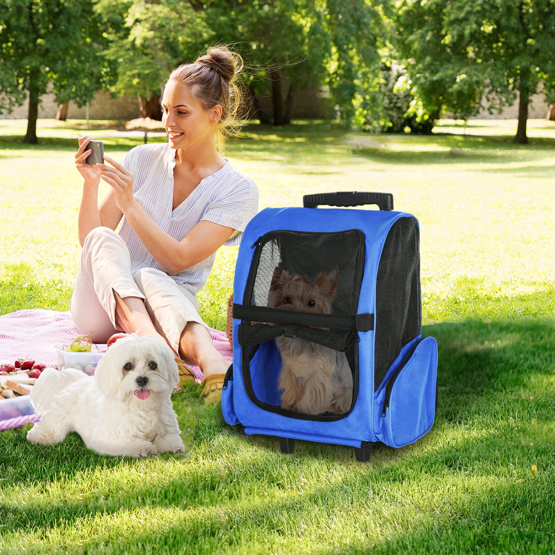Portable Pet Carrier Backpack With Trolley Telescopic Aosom UK