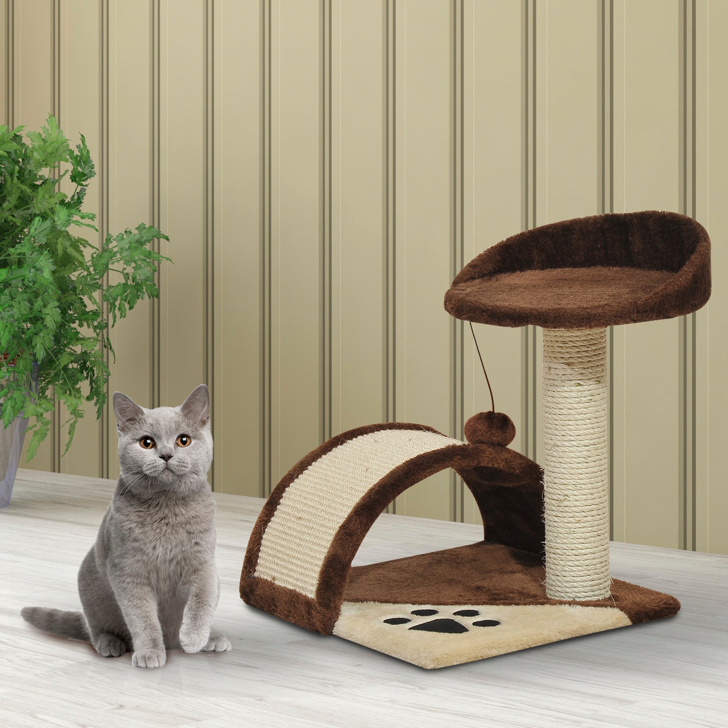 Cat Scratching Post, Indoor Activity Centre, Kitten Climber with Scratcher, Hanging Ball, Brown