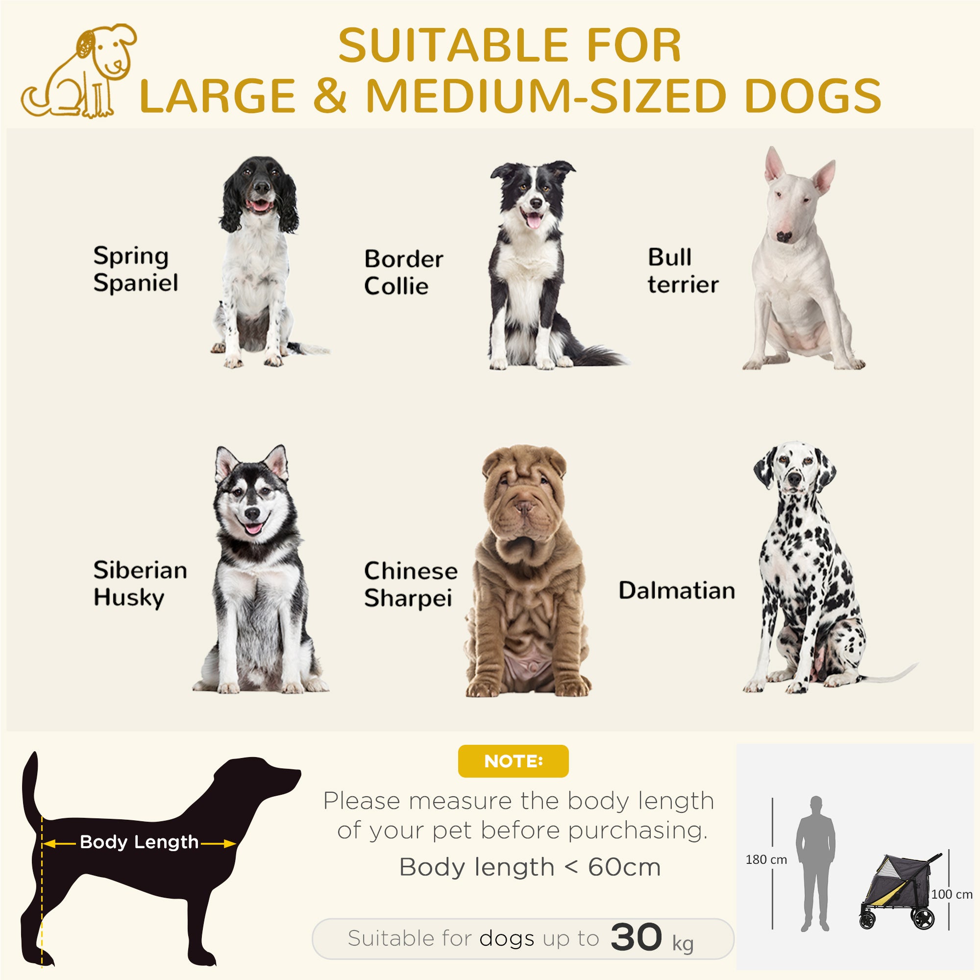 Foldable Pet Stroller with One-Click, Rain Cover, Front Wheels, Shock Absorber, Storage, Mesh for Cats & Dogs