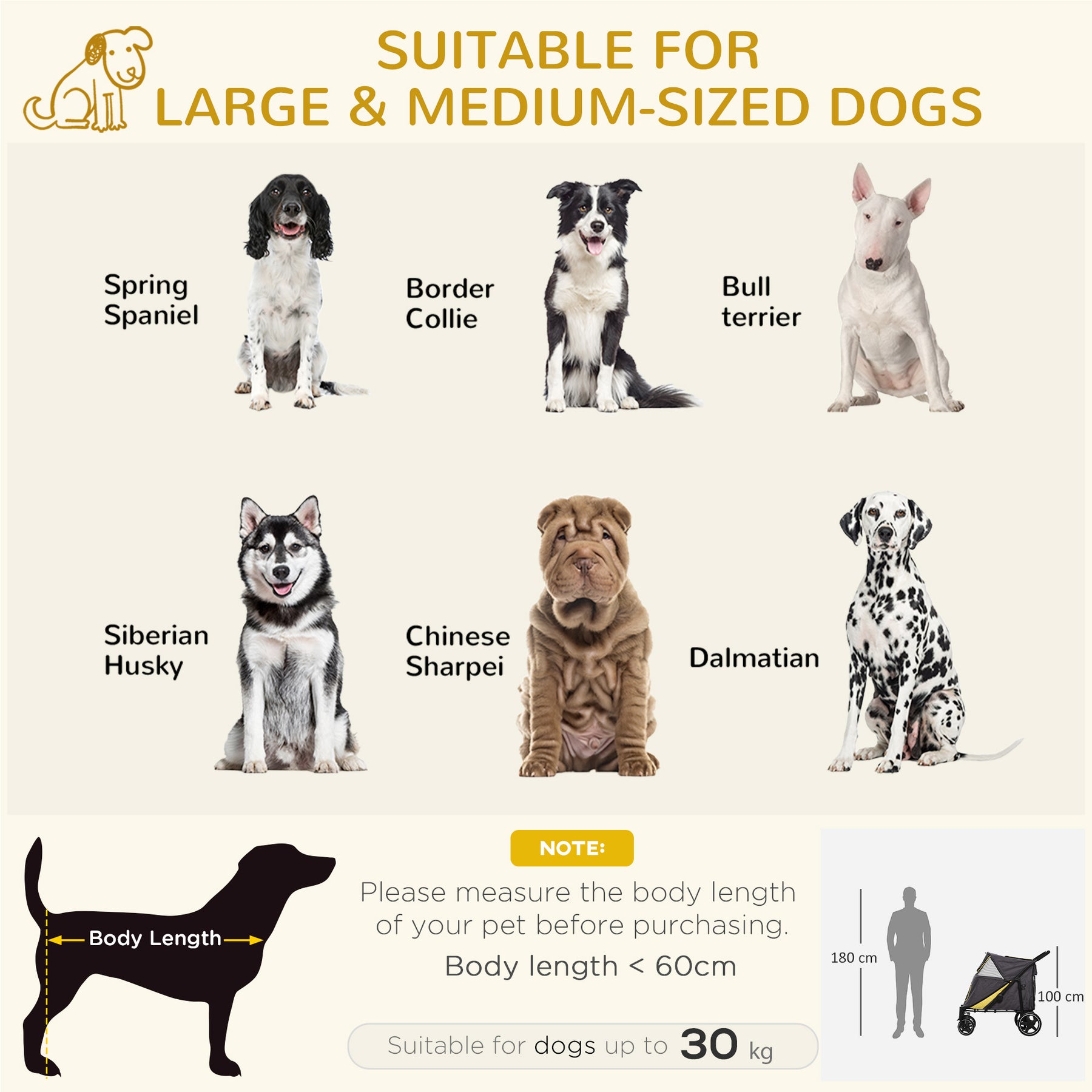 Foldable Pet Stroller with One-Click, Rain Cover, Front Wheels, Shock Absorber, Storage, Mesh for Cats & Dogs