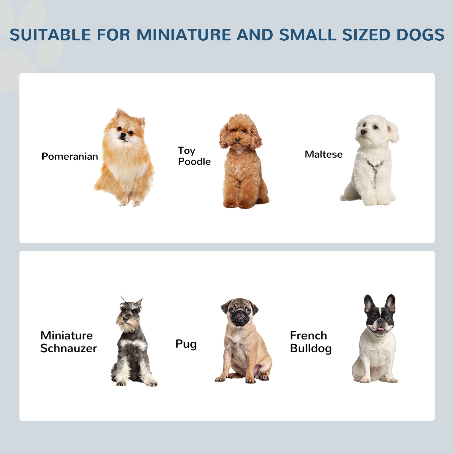 Stainless Steel Pet Feeder, Durable & Easy to Clean, Ideal for Cats & Dogs, White