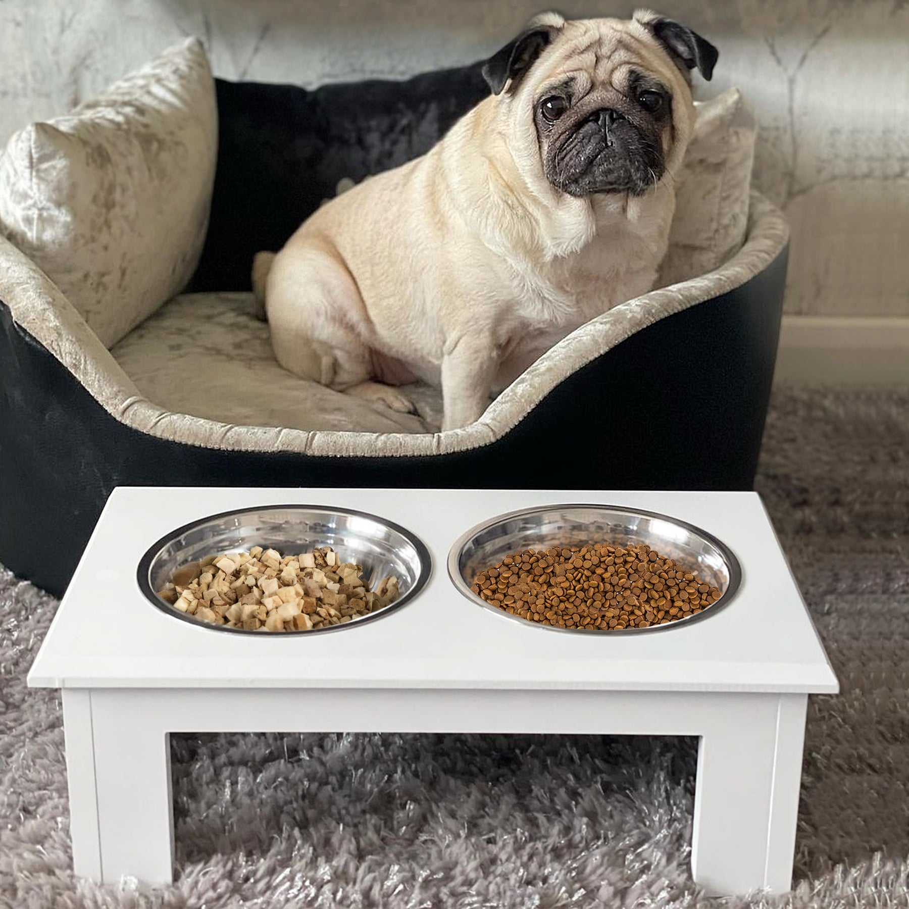 Stainless Steel Pet Feeder, Durable & Easy to Clean, Ideal for Cats & Dogs, White