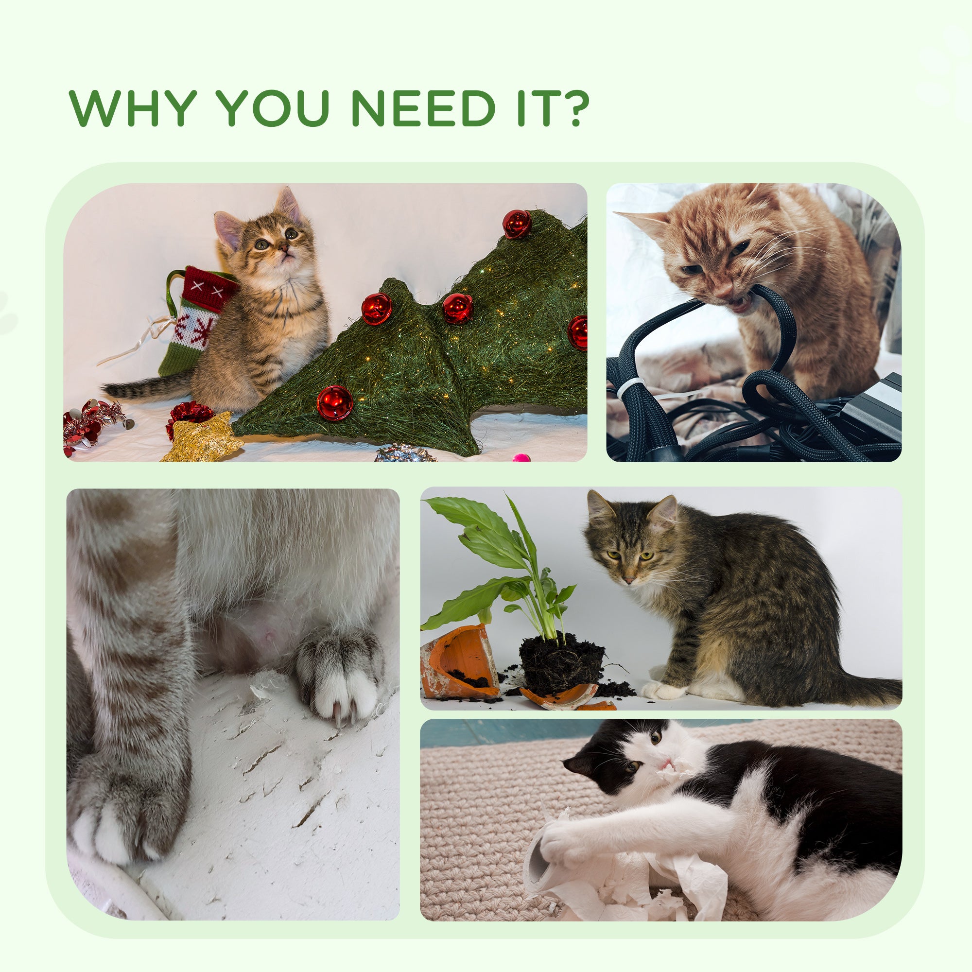 Kitten Climber: Indoor Cat Tree with Sisal Scratcher, Cosy Bed & Toy Balls, White Tower
