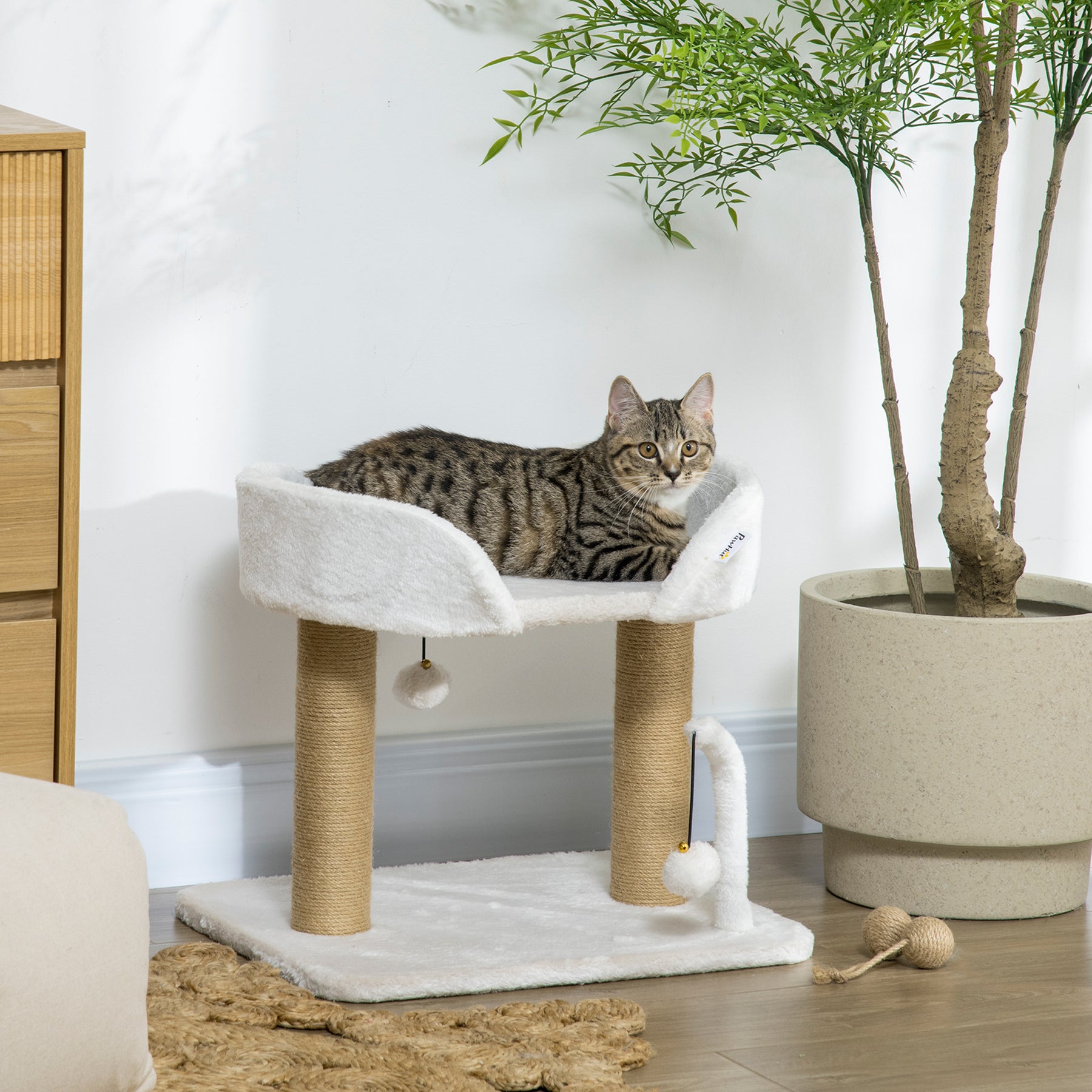 Kitten Climber: Indoor Cat Tree with Sisal Scratcher, Cosy Bed & Toy Balls, White Tower