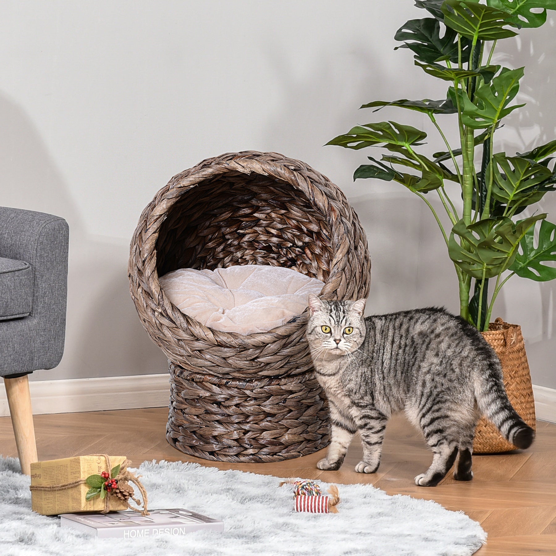 Wicker Cat Bed, Raised Rattan Cat Basket with Cylindrical Base, Soft Washable Cushion, Brown