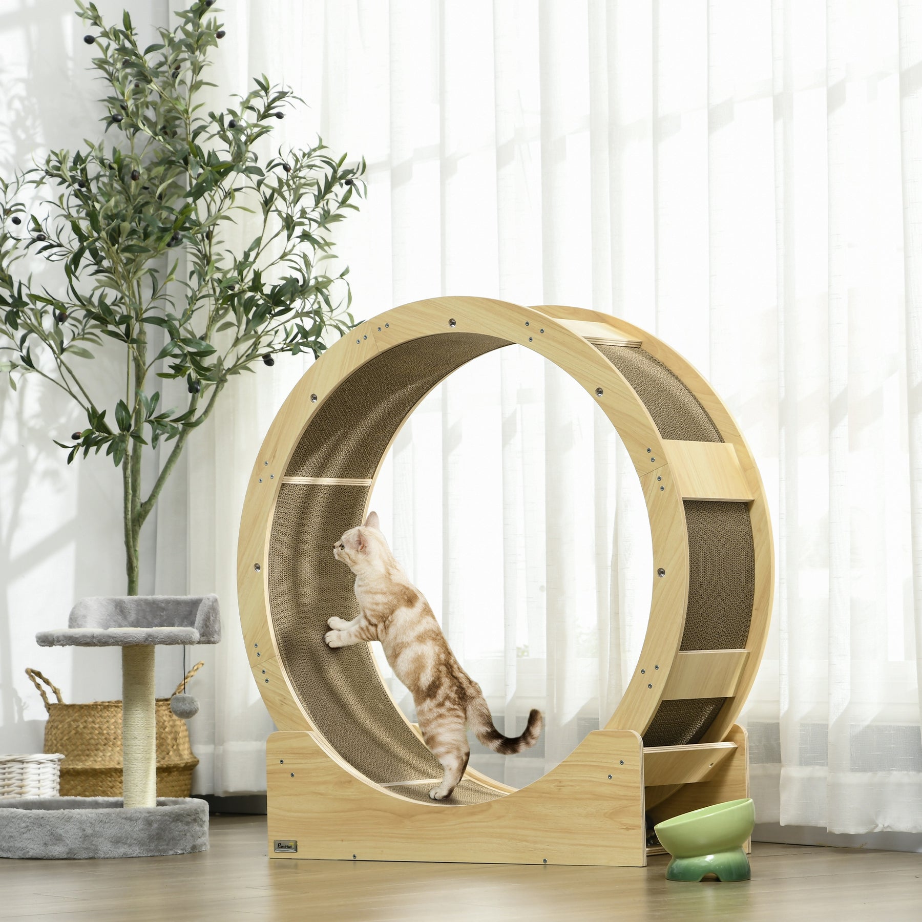 Cat Wheel with Brake, Scratching Pads, Oak
