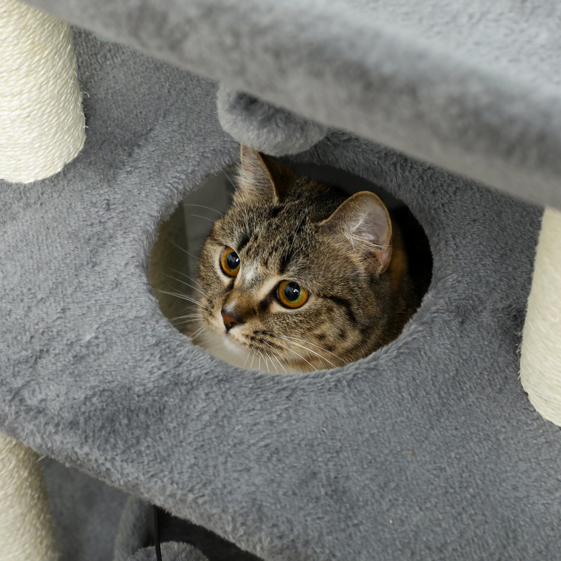 Cat Tree Tower: Scratching Posts, Cosy Bed & Perch, Interactive Ball Toy for Feline Fun, Light Grey