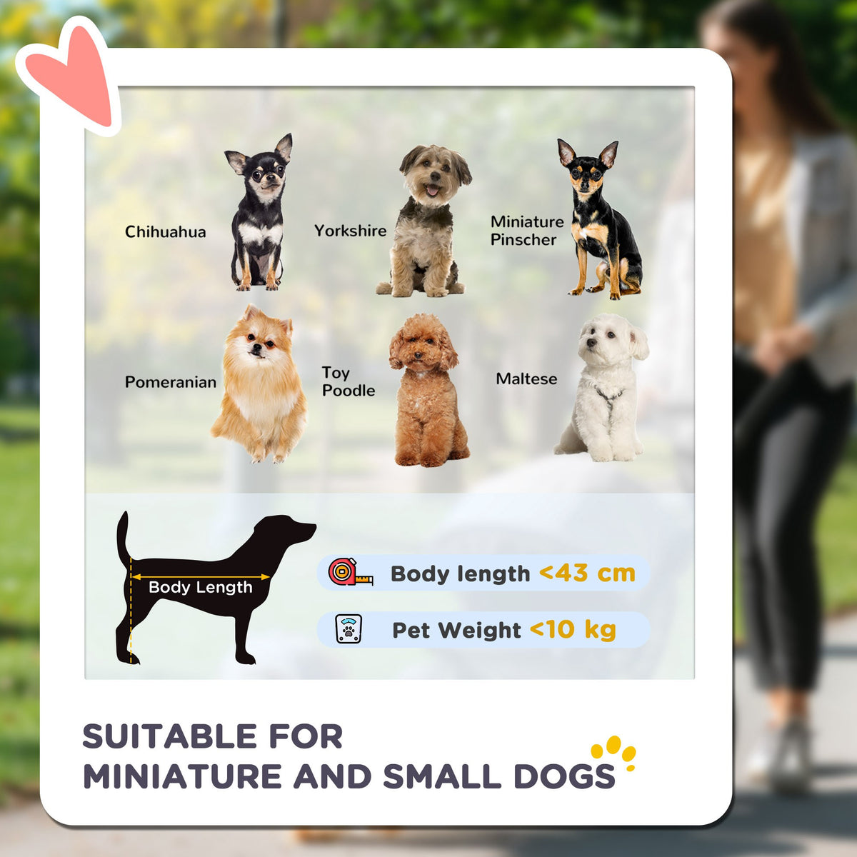 PawHut Foldable Pet stroller, Dog Buggy with Three Wheels, for Small/Medium Dogs, Grey PawHut