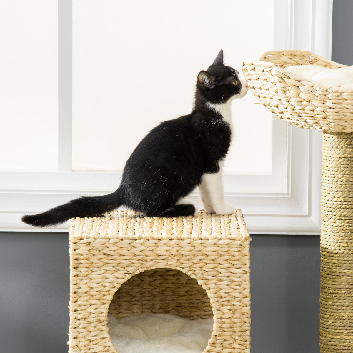 Natural Cat Tree with Scratching Posts, House & Bed Cat Tree PawHut