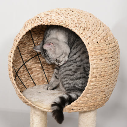Cat Tree Tower Climbing Activity Center With Sisal
