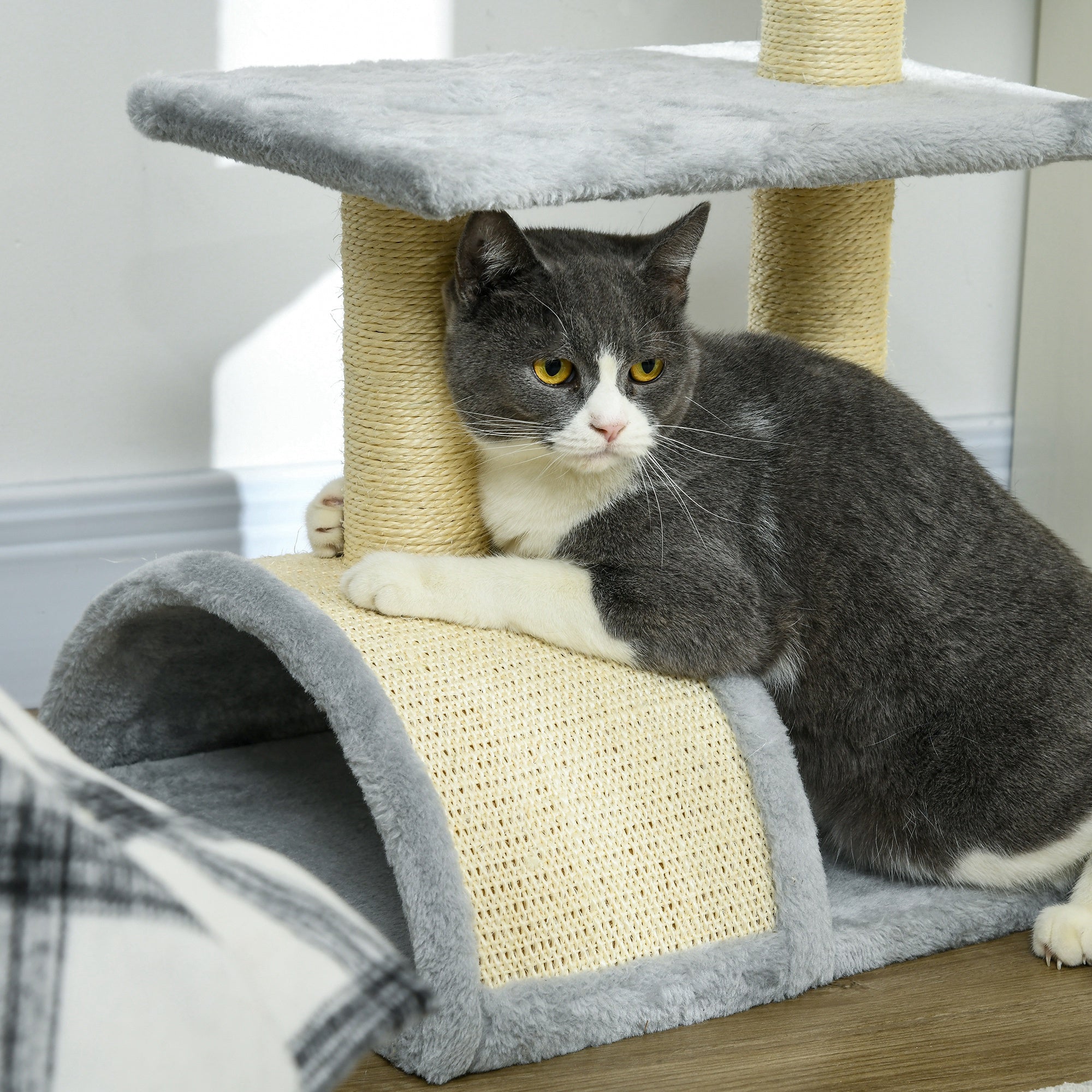 Compact Cat Tree for Indoor Use, Multi-Level with Sisal Scratching Posts, Cushioned Platform, Hanging Ball, Light Grey