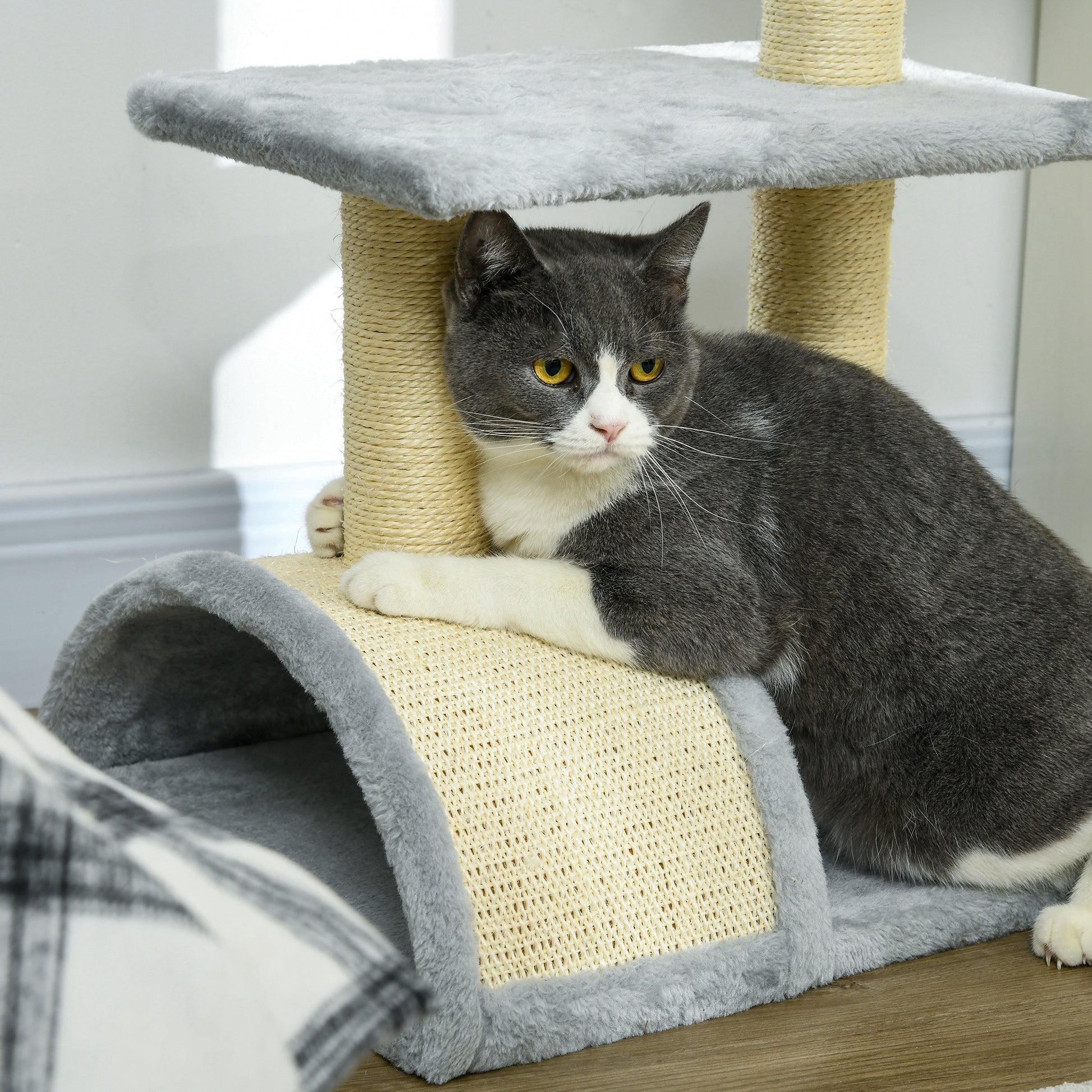 Compact Cat Tree For Indoor Use Multi Level With Sisal Aosom UK